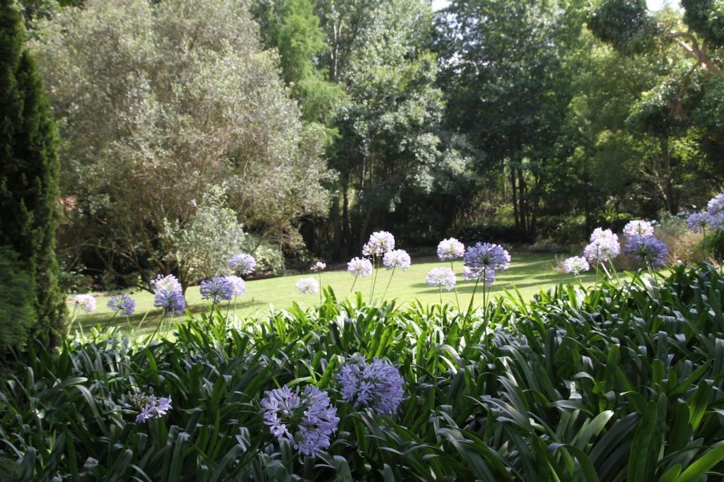 Aan De Vliet Guest House Stellenbosch Bagian luar foto